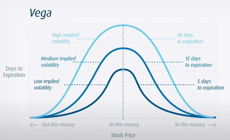 Vega expiration chart