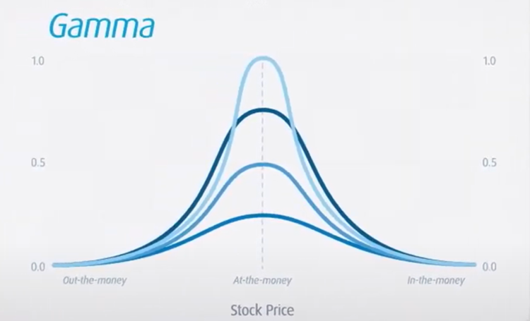 Gamma Table Stock Price